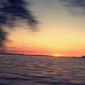 Meet your Posher, Laney