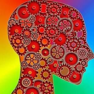 Meet your Posher, Joellen