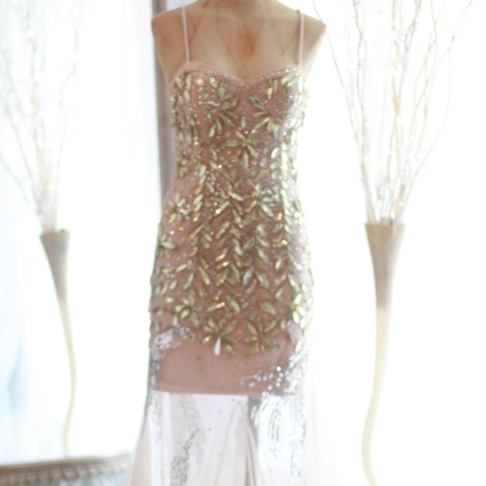 Dave and Johnny long sheer dress