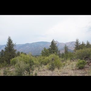 Meet your Posher, Jordyn