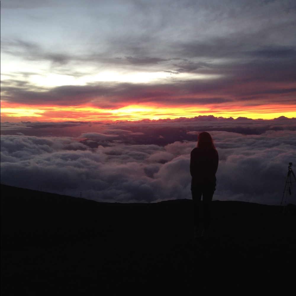 Meet your Posher, Anna