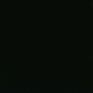 Meet your Posher, Tonya