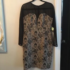 Eva Franco dress size 8, long sheer sleeve, deep v