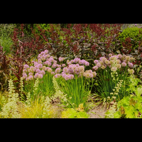 Meet your Posher, Trinh - Picture 1 of 1