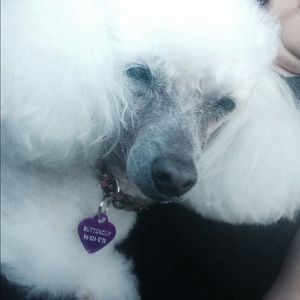 Meet your Posher, Alane