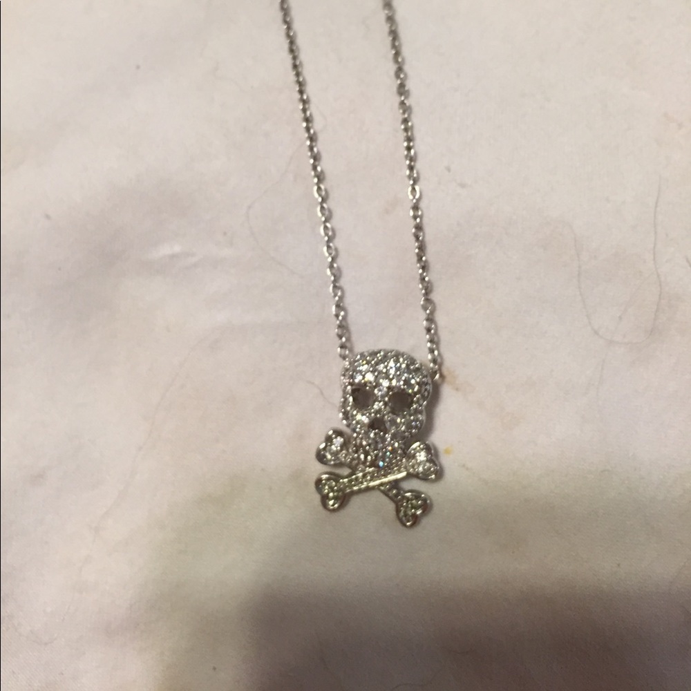 Skull/crossbones necklace