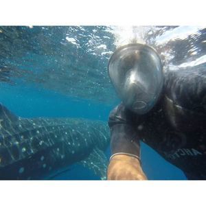 Meet your Posher, Tom