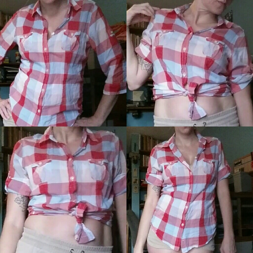 American Eagle plaid button up shirt.