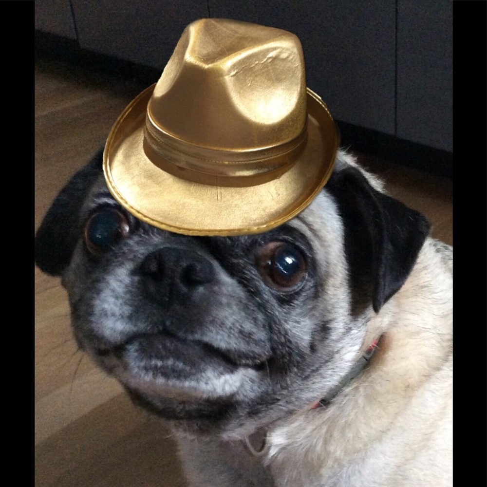 Meet your Posher, Ronin