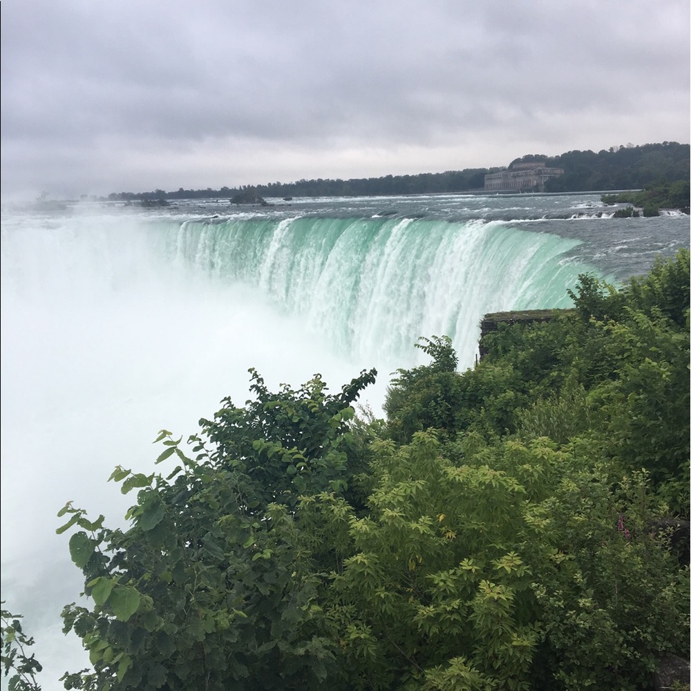 Meet your Posher, Naomi