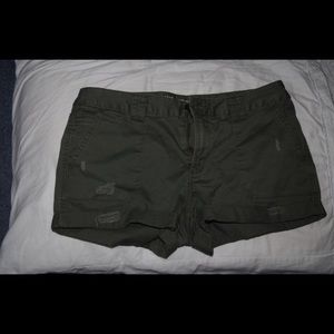 Olive Green Shorts