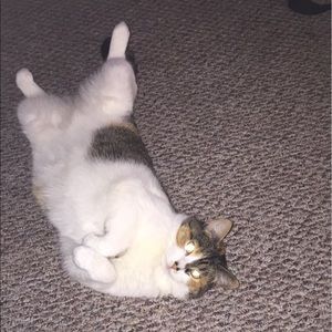 Meet your Posher, Maurene