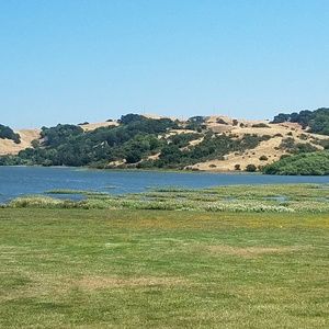 Meet your Posher, Dorothy