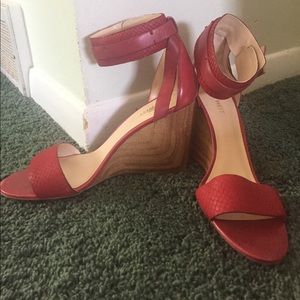 Red wedges