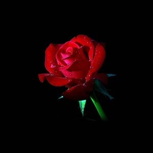 Meet your Posher, Fernando