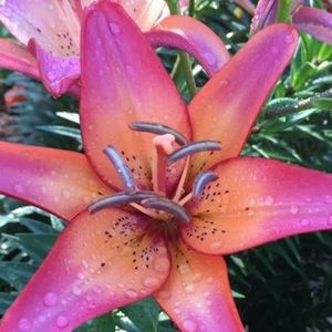 Meet your Posher, Robin