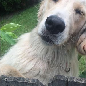 Meet your Posher, Kylie