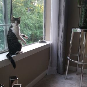 Meet your Posher, Jo