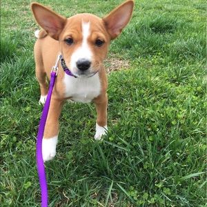 Meet your Posher, Kelly