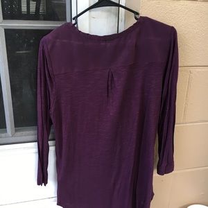 Calvin Klein Purple Shirt