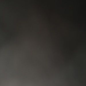 Meet your Posher, Gavin