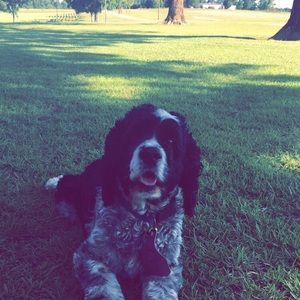 Meet your Posher, Keri