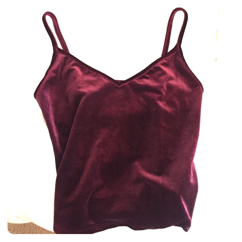 NWOT: Burgandy Velvet Cami Cropped Tank