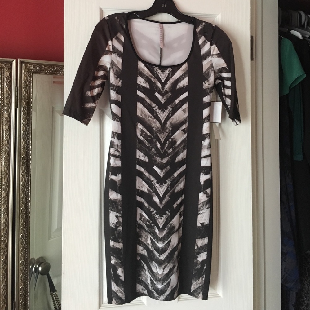 Hippie Chique Geo Zebra Bodycon Dress