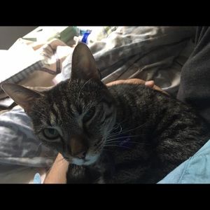 Meet your Posher, James-harley