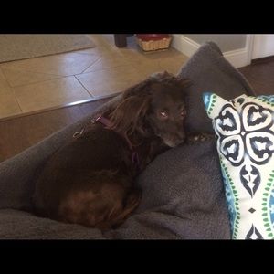 Meet your Posher, Amy