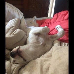 Meet your Posher, Jayden