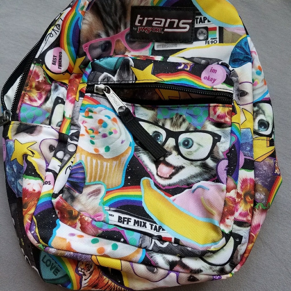 Lunch box that looks like miniature backpack