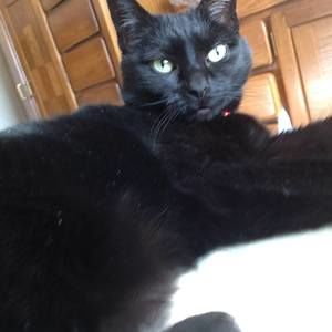 Meet your Posher, Terry