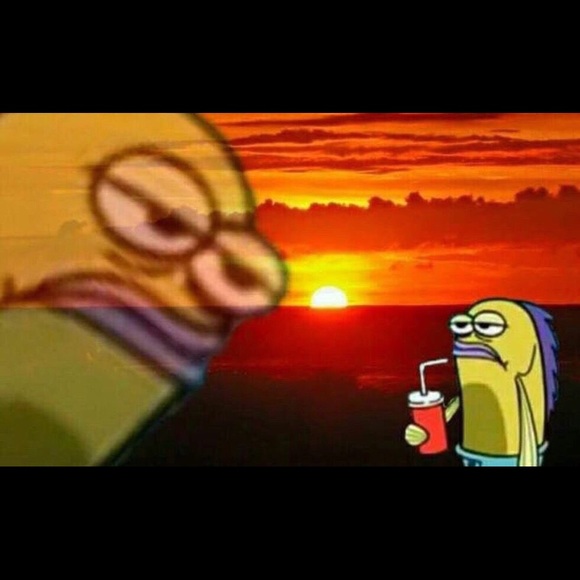 Meet your Posher, Soloman - Picture 1 of 1