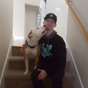 Meet your Posher, Jake