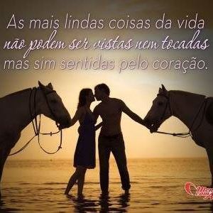 Meet your Posher, Silva