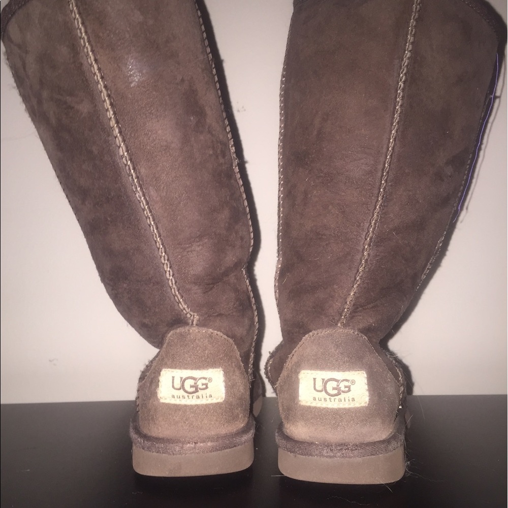 Chocolate Brown Uggs