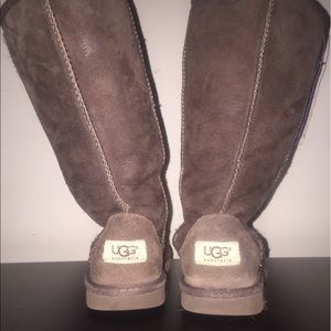 Chocolate Brown Uggs