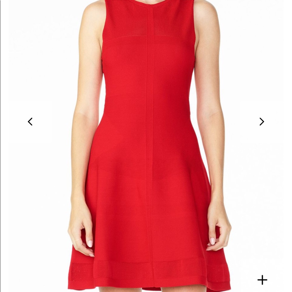 Armani Fit and Flare Red Hot Dress