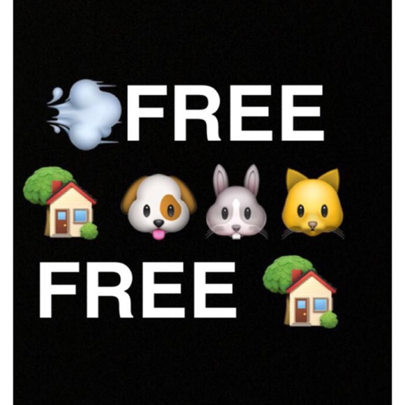 🎀MEET DANI🎀 - Picture 3 of 4