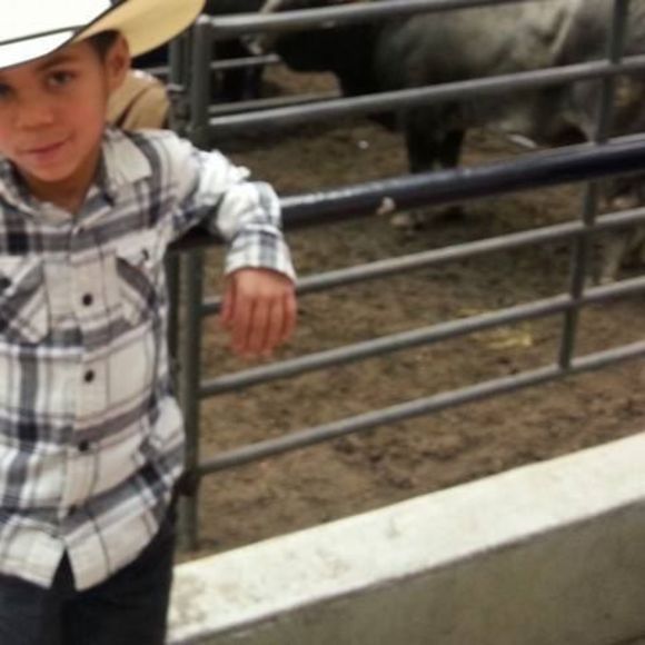 Meet your Posher, Jessica - Picture 1 of 1