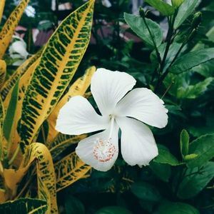 Meet your Posher, Lauryn