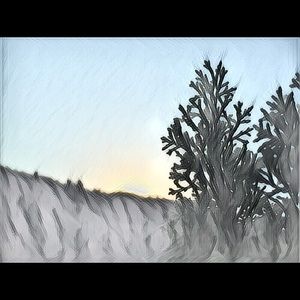 Meet your Posher, Bennett