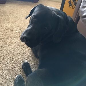 Meet your Posher, Jaime