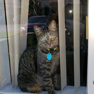 Meet your Posher, Gloria