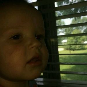 Meet your Posher, Bobbie