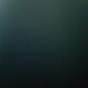 Meet your Posher, Celicia