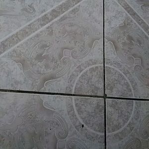 Meet your Posher, Nora