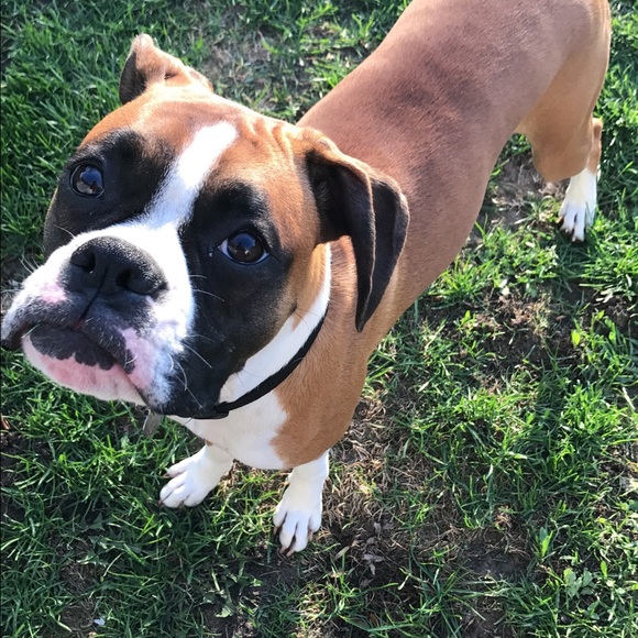 Meet your posher! Alyssa! πΊπΈπΌ - Picture 2 of 3