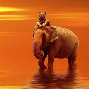 Meet your Posher, Derrick